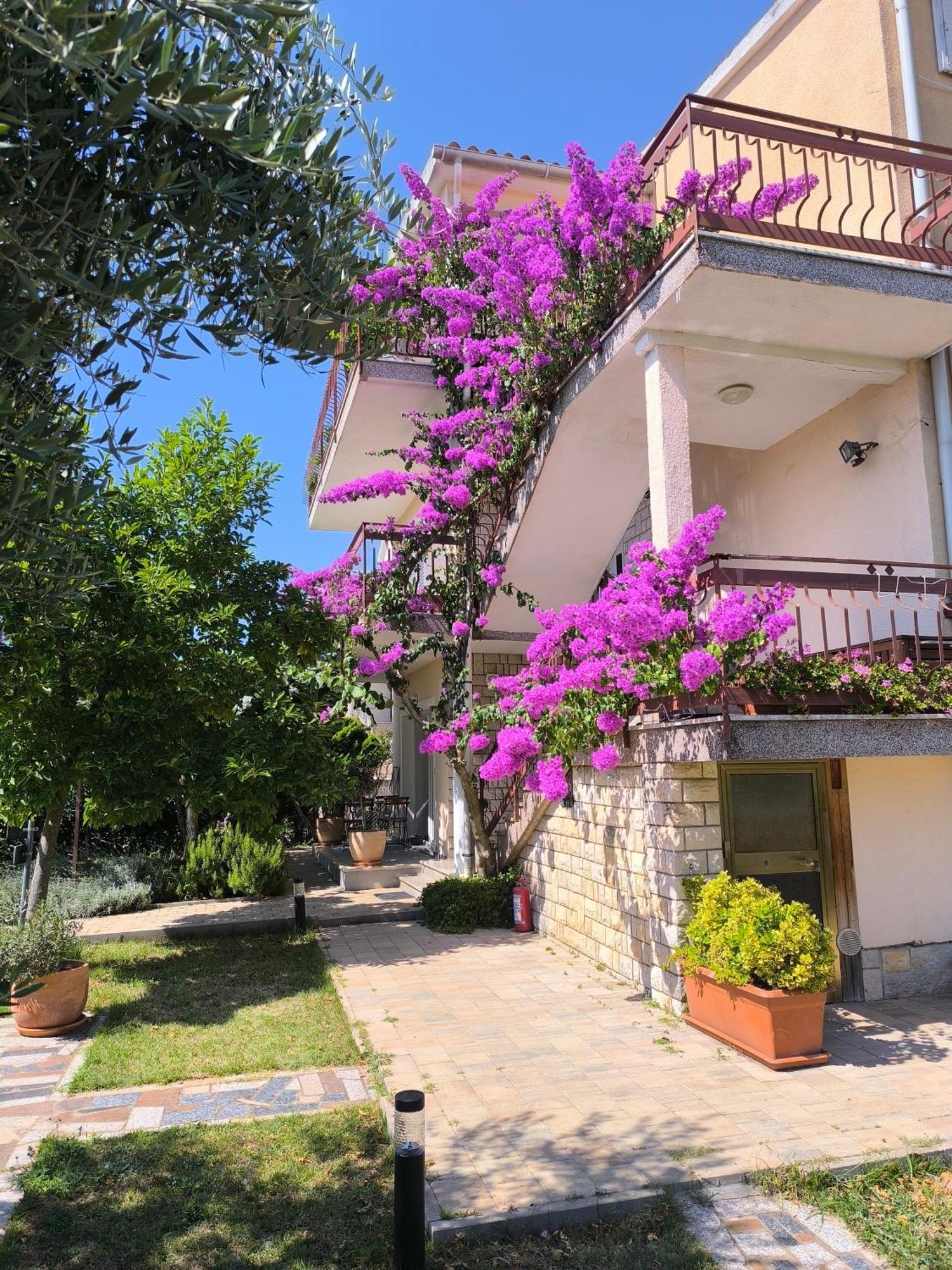 Apartments Lirio Umag Bagian luar foto