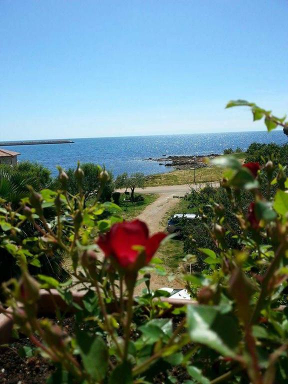 Apartments Lirio Umag Bagian luar foto
